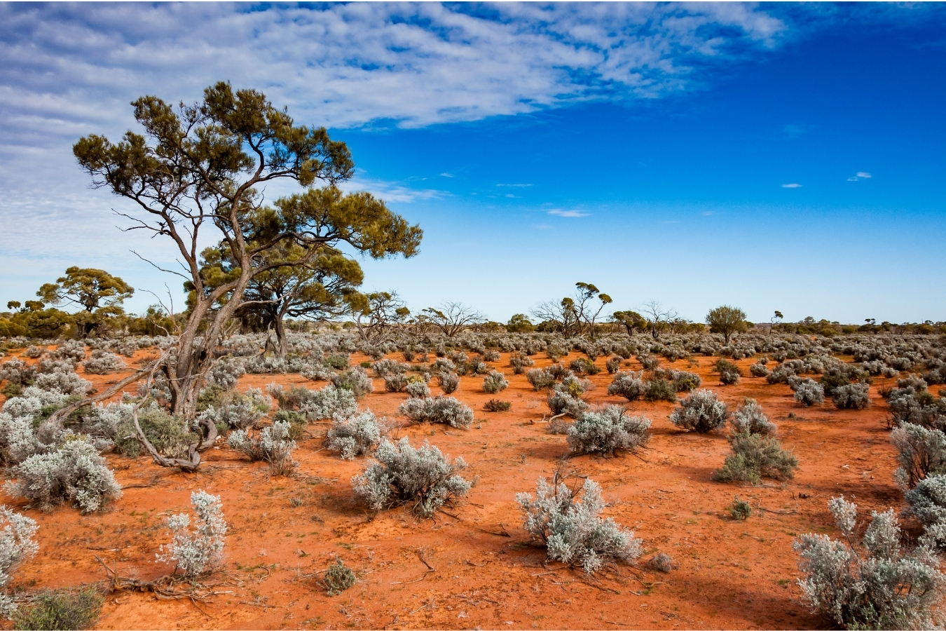 outback-australia