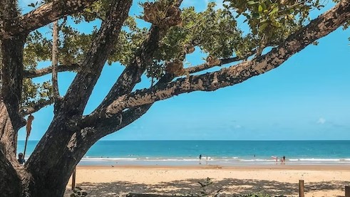 King Reef Resort | G'day Parks