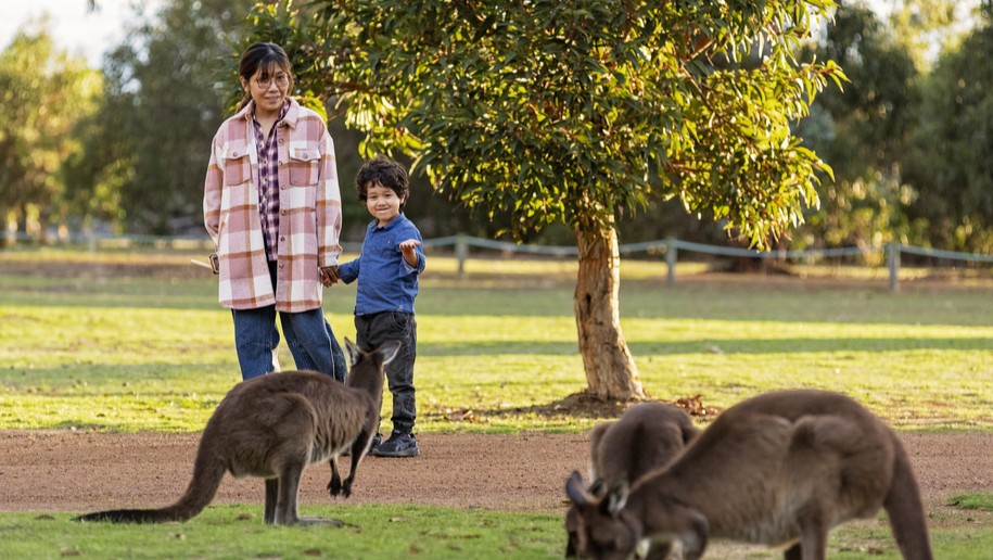 Discovery Parks - Kangaroo Island - 1