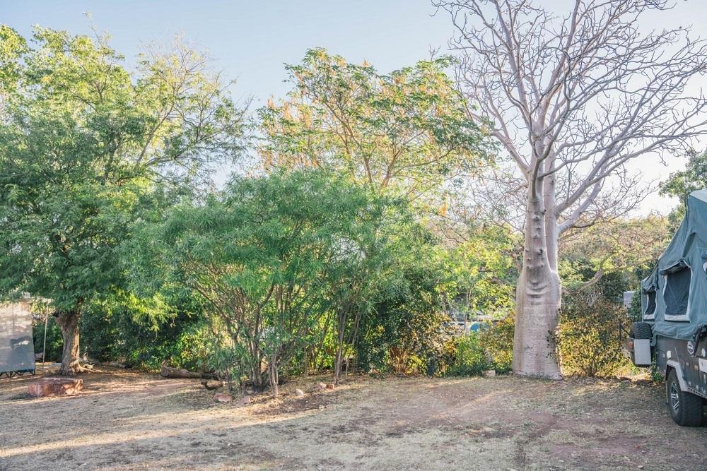 Unpowered Sites Medium Discovery Parks Lake Argyle G'day Parks