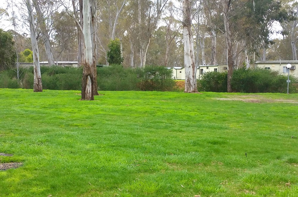 Unpowered Site G'day Parks